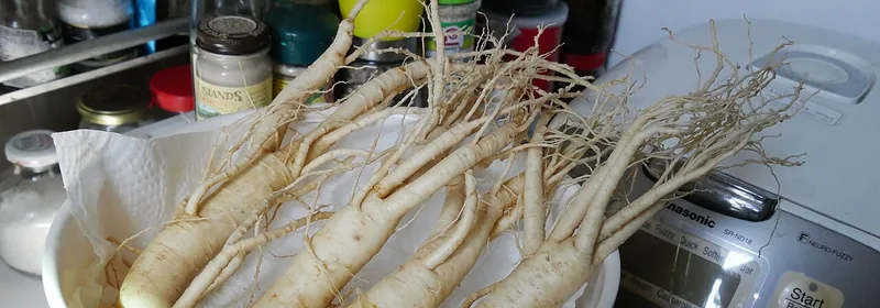 Экстракт корня женьшеня