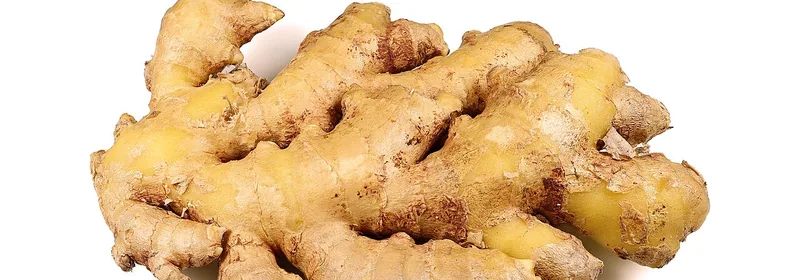 Экстракт корня имбиря